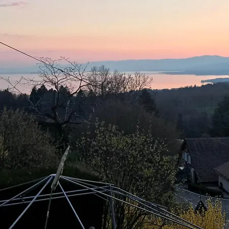 Petite Maison A L'oree Des Bois Vue Magnifique Sur Le Zenitude Et Plenitude Feriehus Belmont-sur-Lausanne