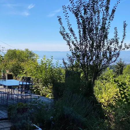 Petite Maison A L'oree Des Bois Vue Sur Le Calme Et Zenitude * 贝尔蒙叙尔洛桑