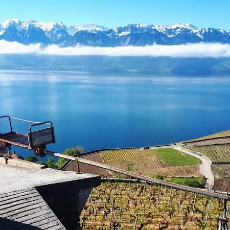 Petite Maison A L'oree Des Bois Vue Magnifique Sur Le Zenitude Et Plenitude בלמון-סור-לוזאן
