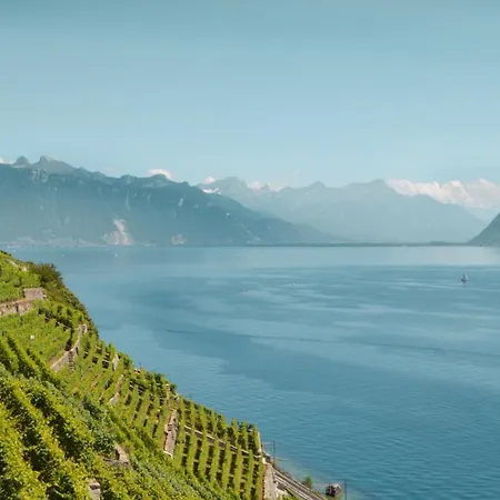 Casa de Férias Petite Maison A L'oree Des Bois Vue Magnifique Sur Le Zenitude Et Plenitude *