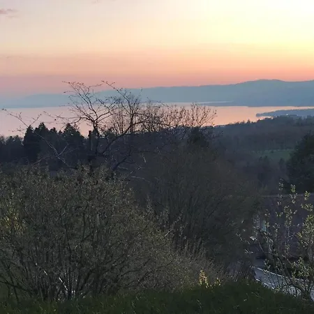 Petite Maison A L'oree Des Bois Vue Sur Le Calme Et Zenitude 贝尔蒙叙尔洛桑