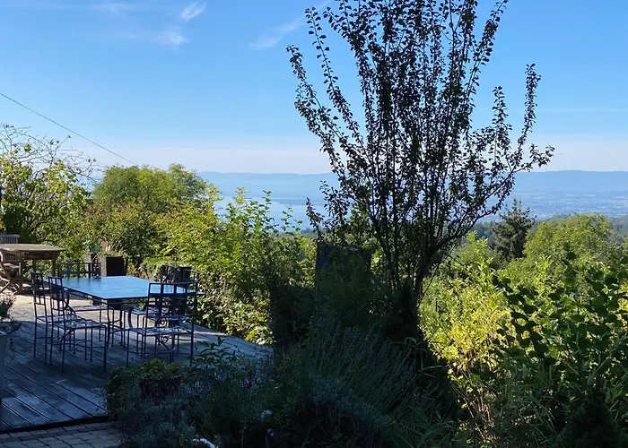 Petite Maison A L'oree Des Bois Vue Magnifique Sur Le Zenitude Et Plenitude * بلمونت سور لوزان