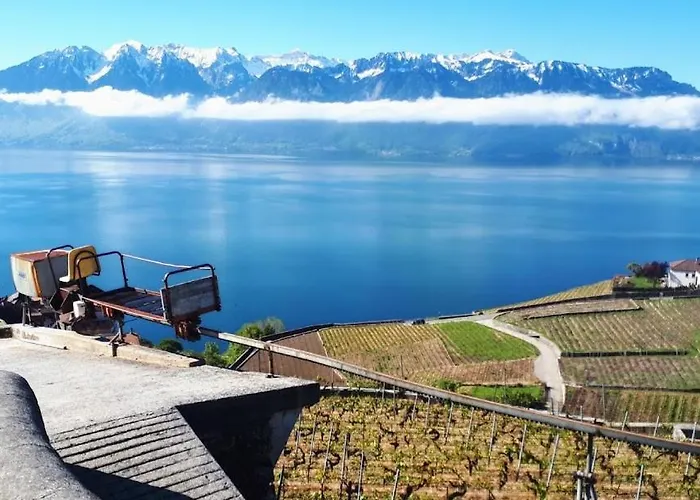 Petite Maison A L'oree Des Bois Vue Magnifique Sur Le Zenitude Et Plenitude Belmont-sur-Lausanne