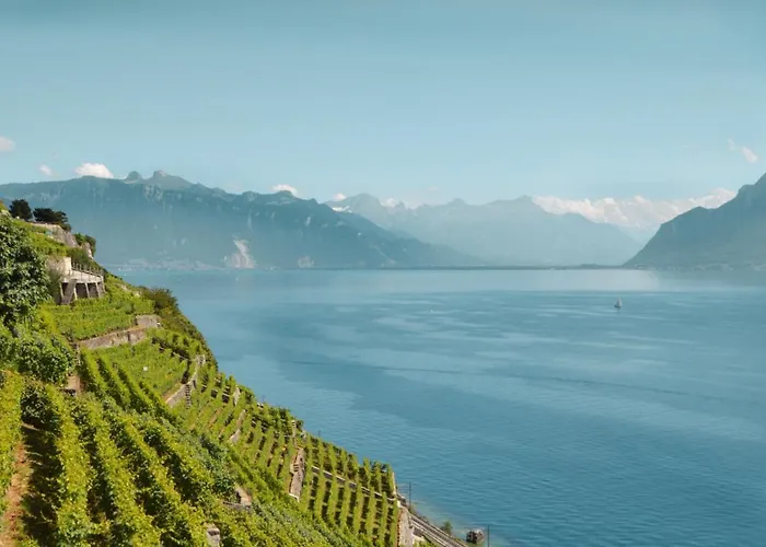 Dom wakacyjny Petite Maison A L'oree Des Bois Vue Magnifique Sur Le Zenitude Et Plenitude *