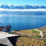 Petite Maison A L'oree Des Bois Vue Magnifique Sur Le Zenitude Et Plenitude Belmont-sur-Lausanne